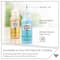 6 Pack: Plaid® Gallery Glass® Stained Glass Effect Paint, 2oz.